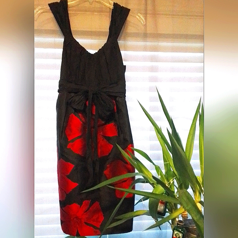Max Studio Specialty Products Juniors Sz 4 Dress